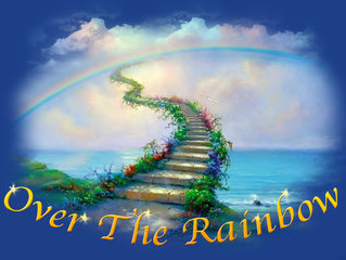 over the rainbow bridge